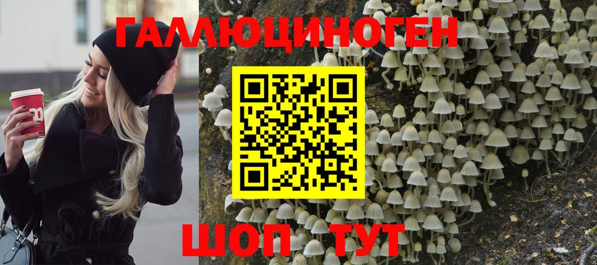 Галлюциногенные грибы Magic Shrooms  Галлюциногенные грибы прущие грибы  Вход с VPN  Верхняя Пышма 