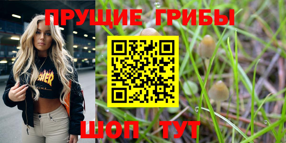 Псилоцибиновые грибы MAGIC MUSHROOMS Верхняя Пышма